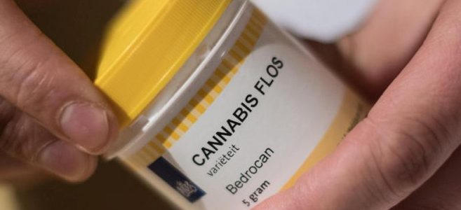Die Cannabis-Hysterie
