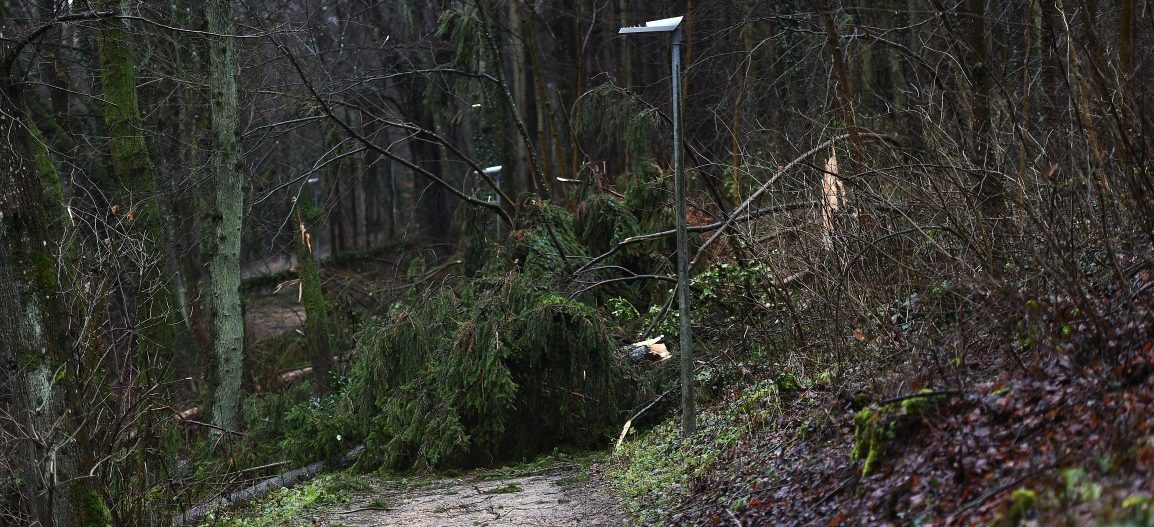 Galgenberg: Betreten nur auf eigene Gefahr