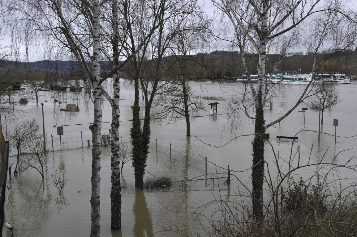 07.01.2018_Editpress_411749