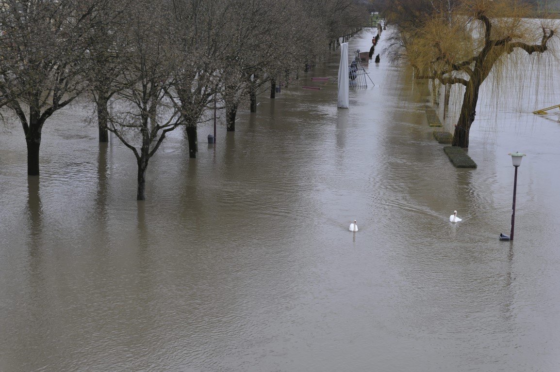 07.01.2018_Editpress_411776