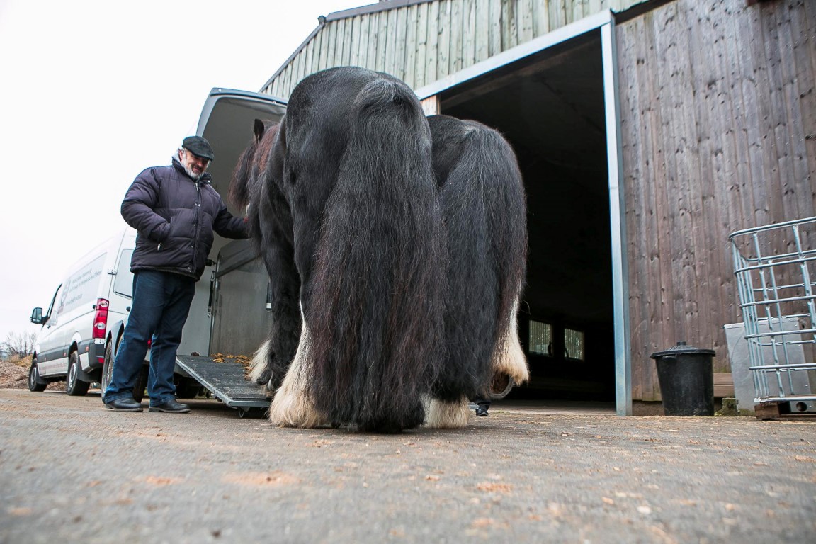 Reportage Leederwon Asbl