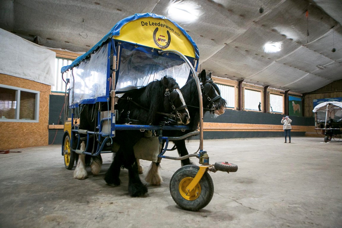 Reportage Leederwon Asbl