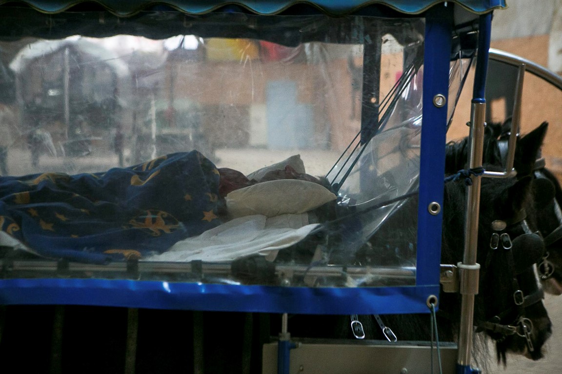 Reportage Leederwon Asbl