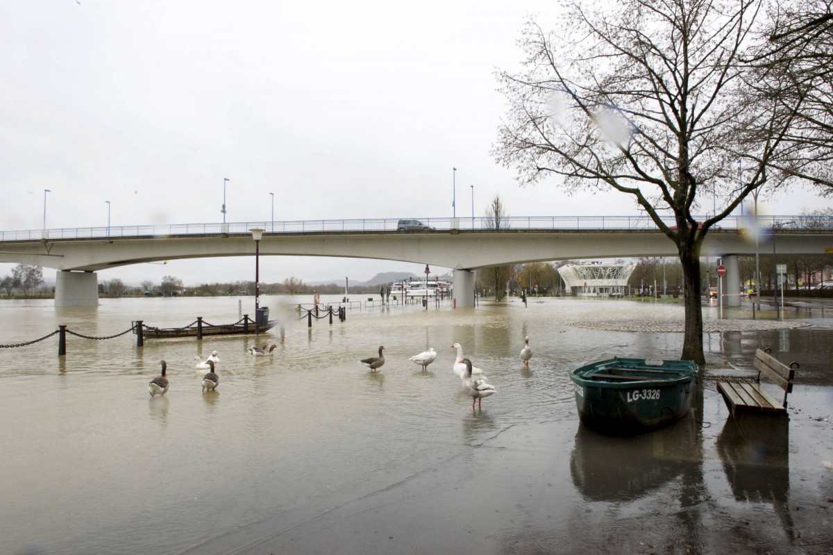 20.01.2018_Editpress_414075