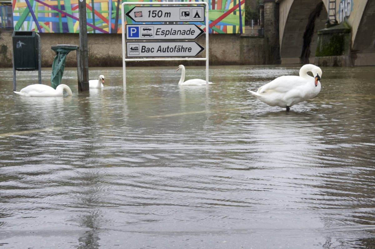 20.01.2018_Editpress_414089