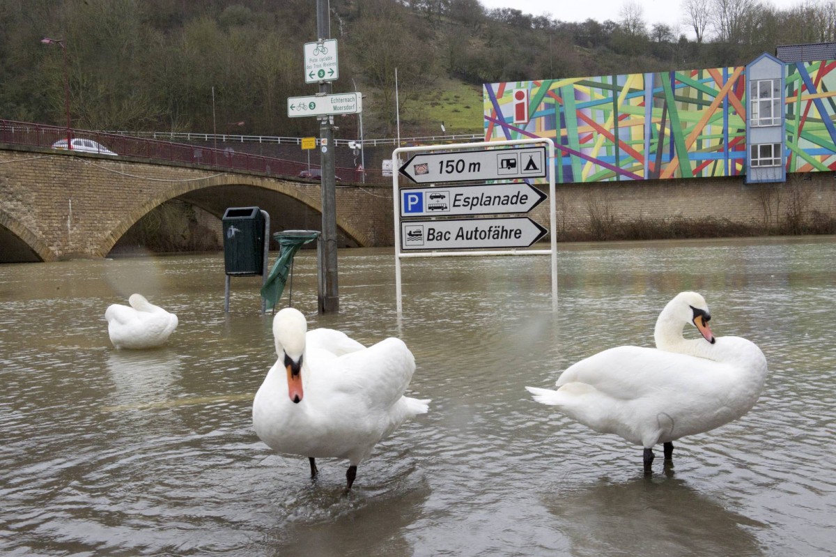 20.01.2018_Editpress_414095