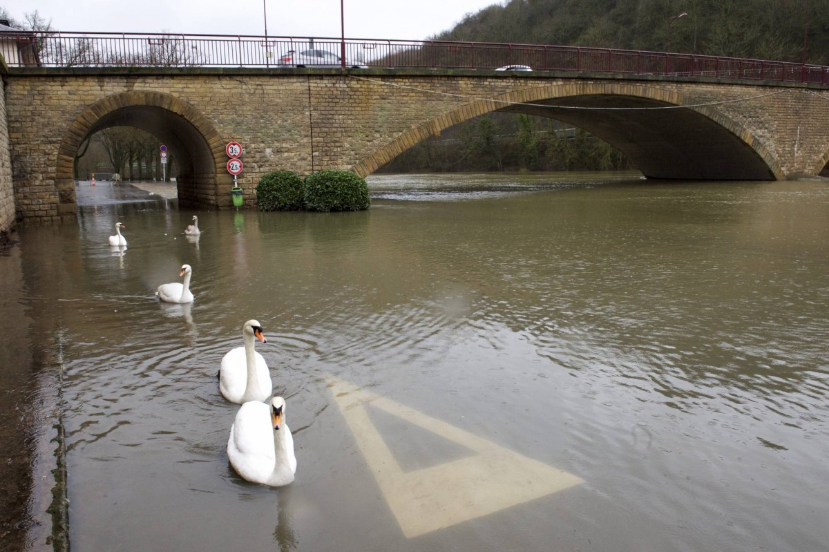 20.01.2018_Editpress_414096