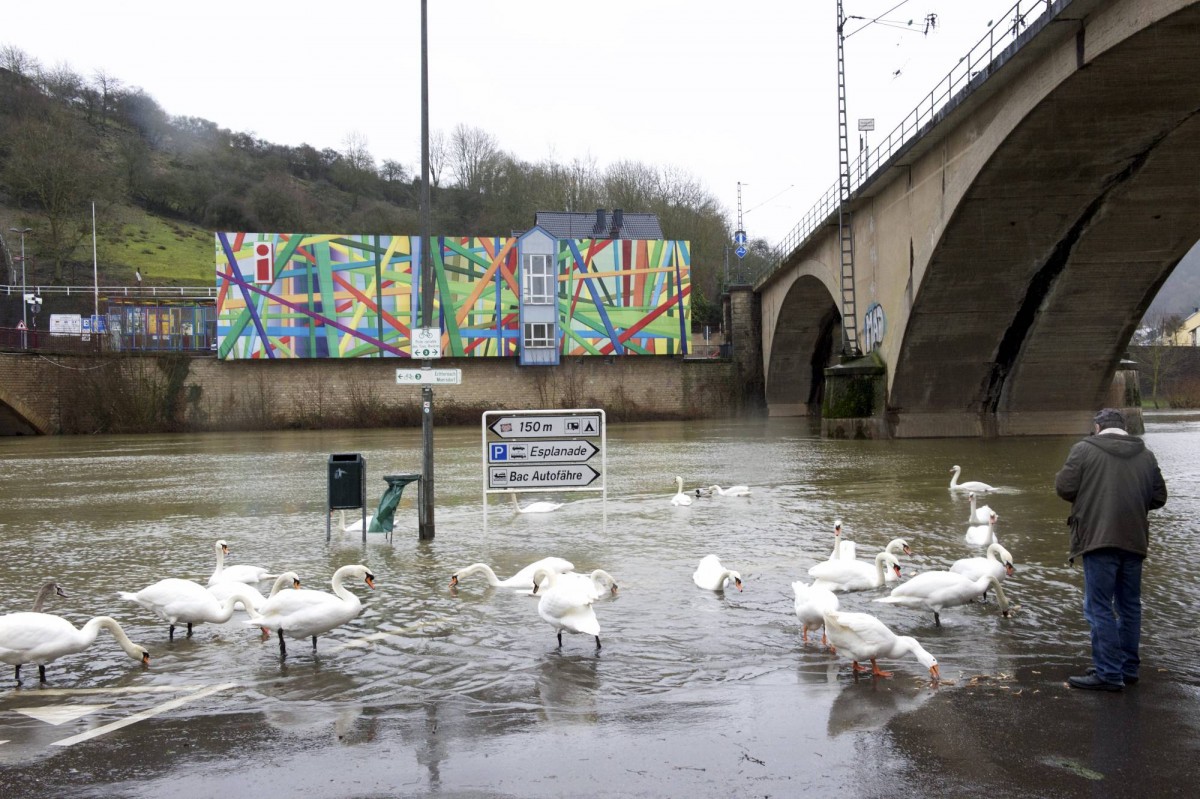 20.01.2018_Editpress_414098