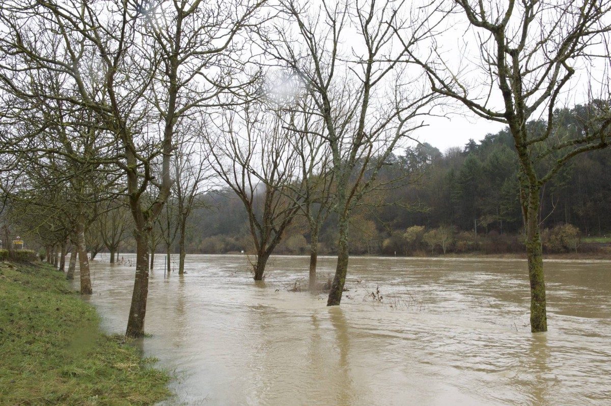 20.01.2018_Editpress_414109