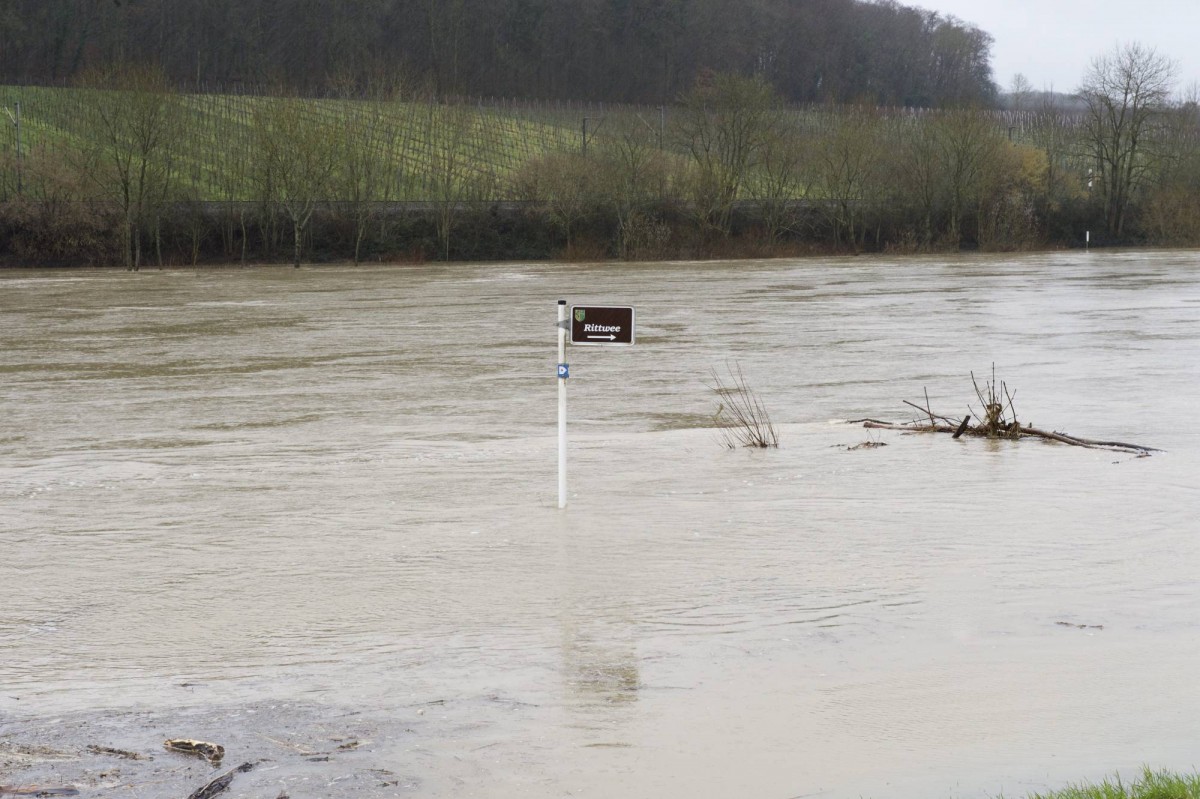 20.01.2018_Editpress_414114