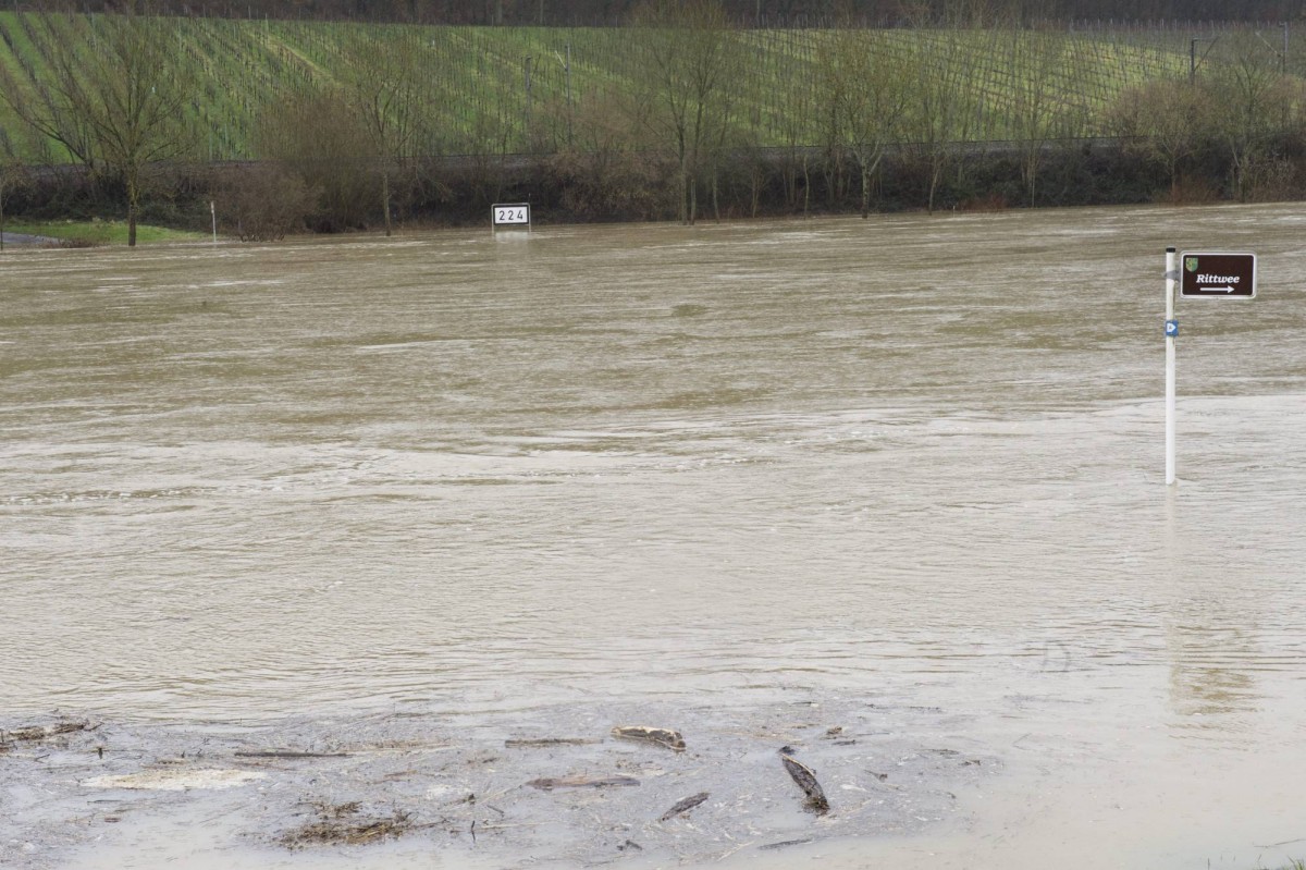 20.01.2018_Editpress_414115