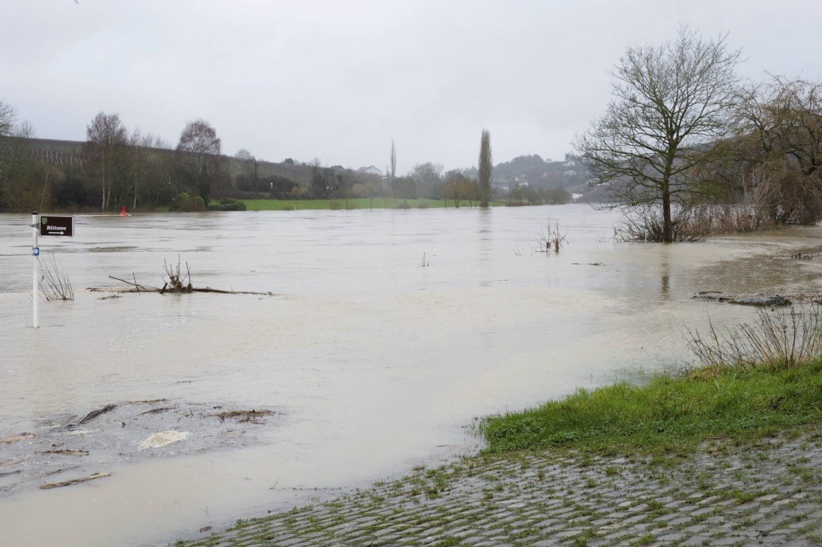 20.01.2018_Editpress_414118