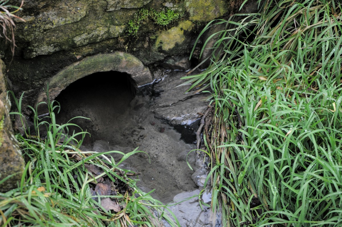Foto: Police de Luxemburg