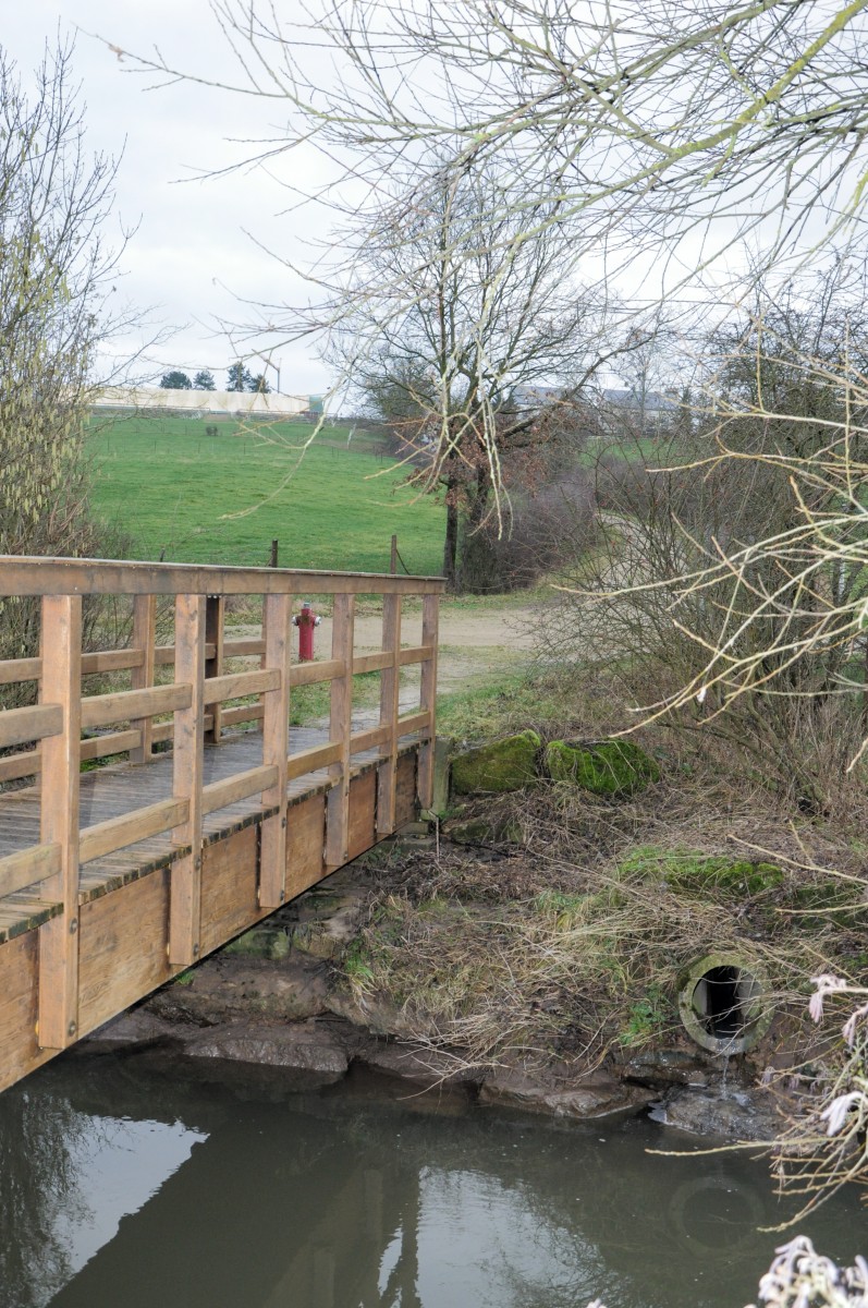 Foto: Police de Luxemburg