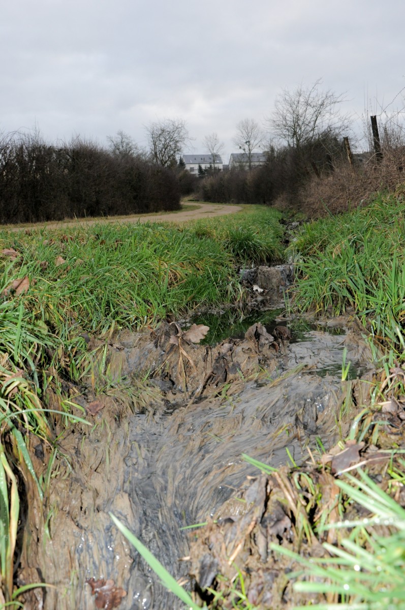 Foto: Police de Luxemburg