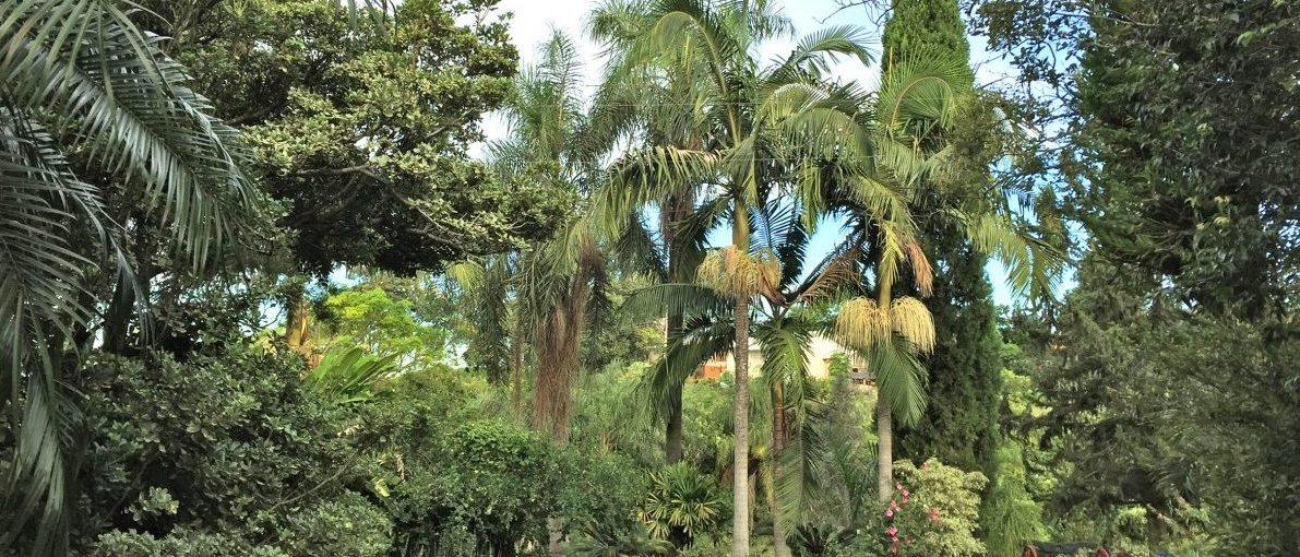 Luxemburgisch versteht man auch am anderen Ende der Welt