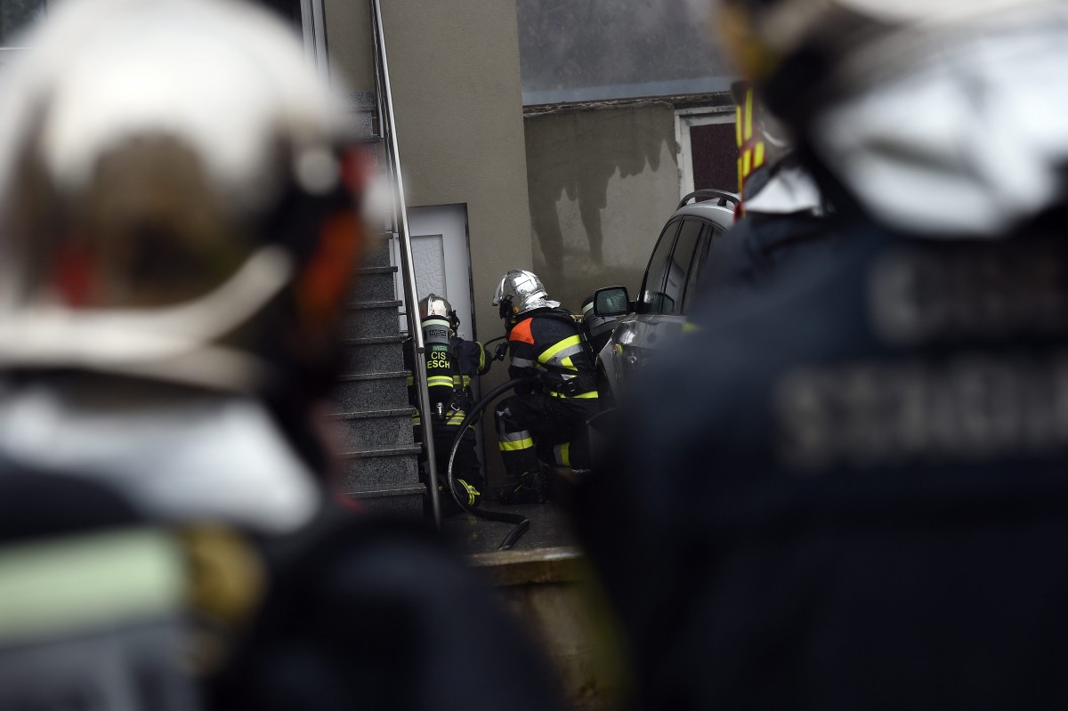 31.01.2018_Editpress_416647