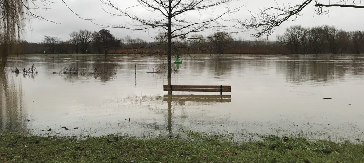 Die Mosel, das unberechenbare Wesen