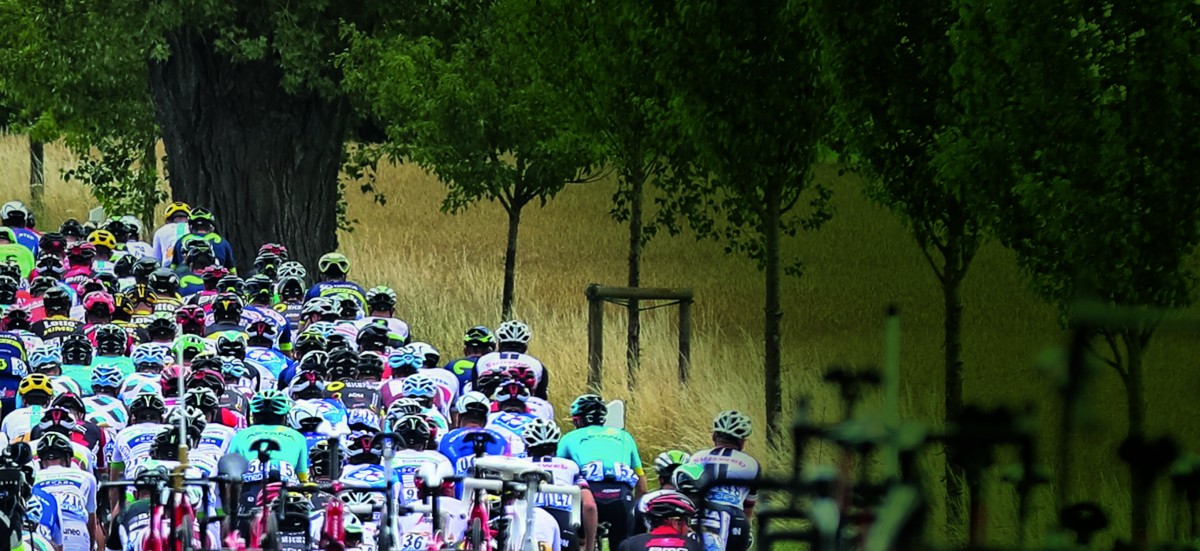 Keine Saison wie jede andere