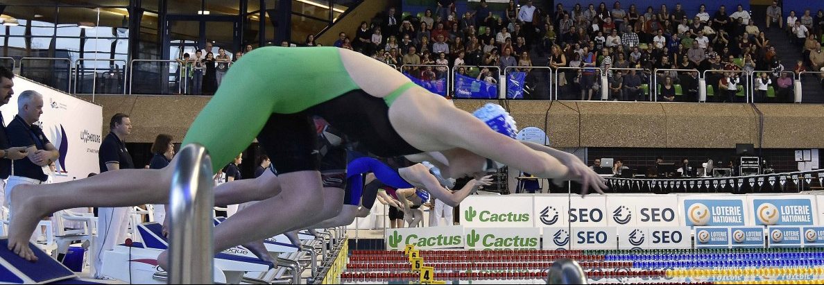 Euro Meet: So läuft die Organisation