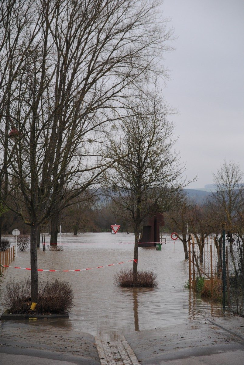 Foto: Editpress/Wiebke Trapp