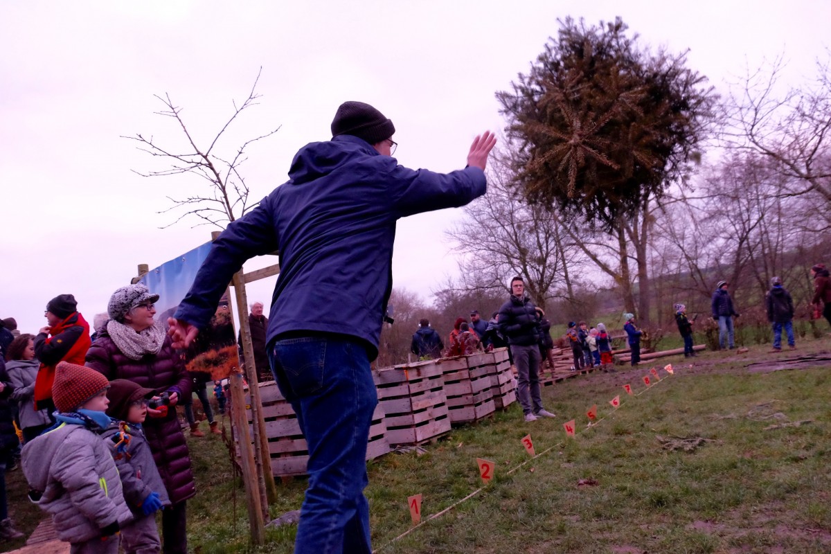Wo die Weihnachtsbäume fliegen