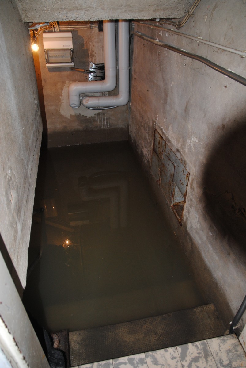 Foto: Editpress/Wiebke Trapp