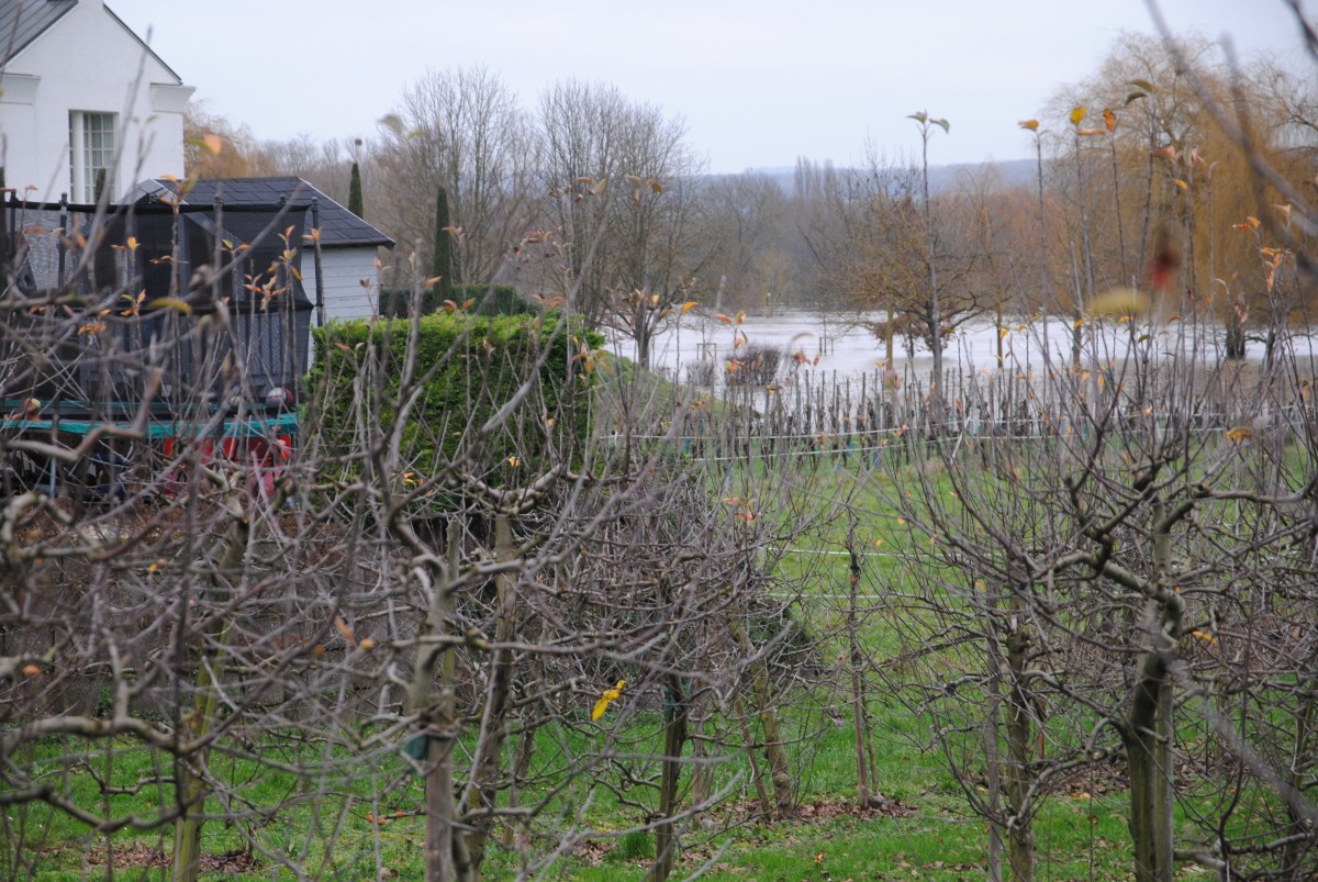 Foto: Editpress/Wiebke Trapp