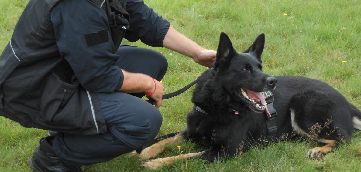 Mann schießt in Wohnung in Fulda um sich - Polizeihund stirbt