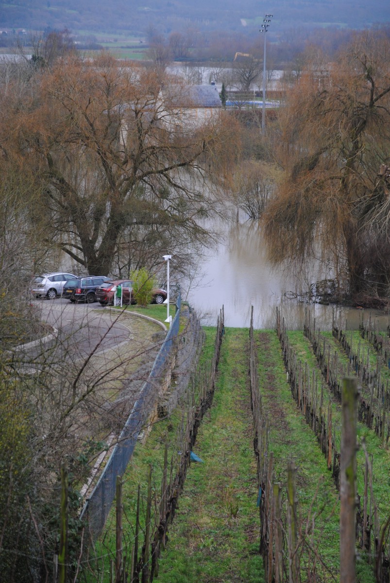 Foto: Editpress/Wiebke Trapp