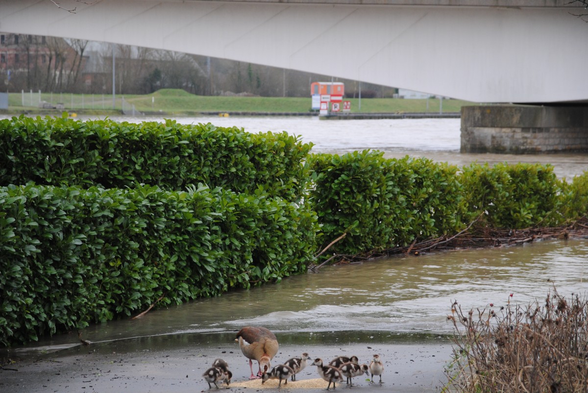 Foto: Editpress/Wiebke Trapp
