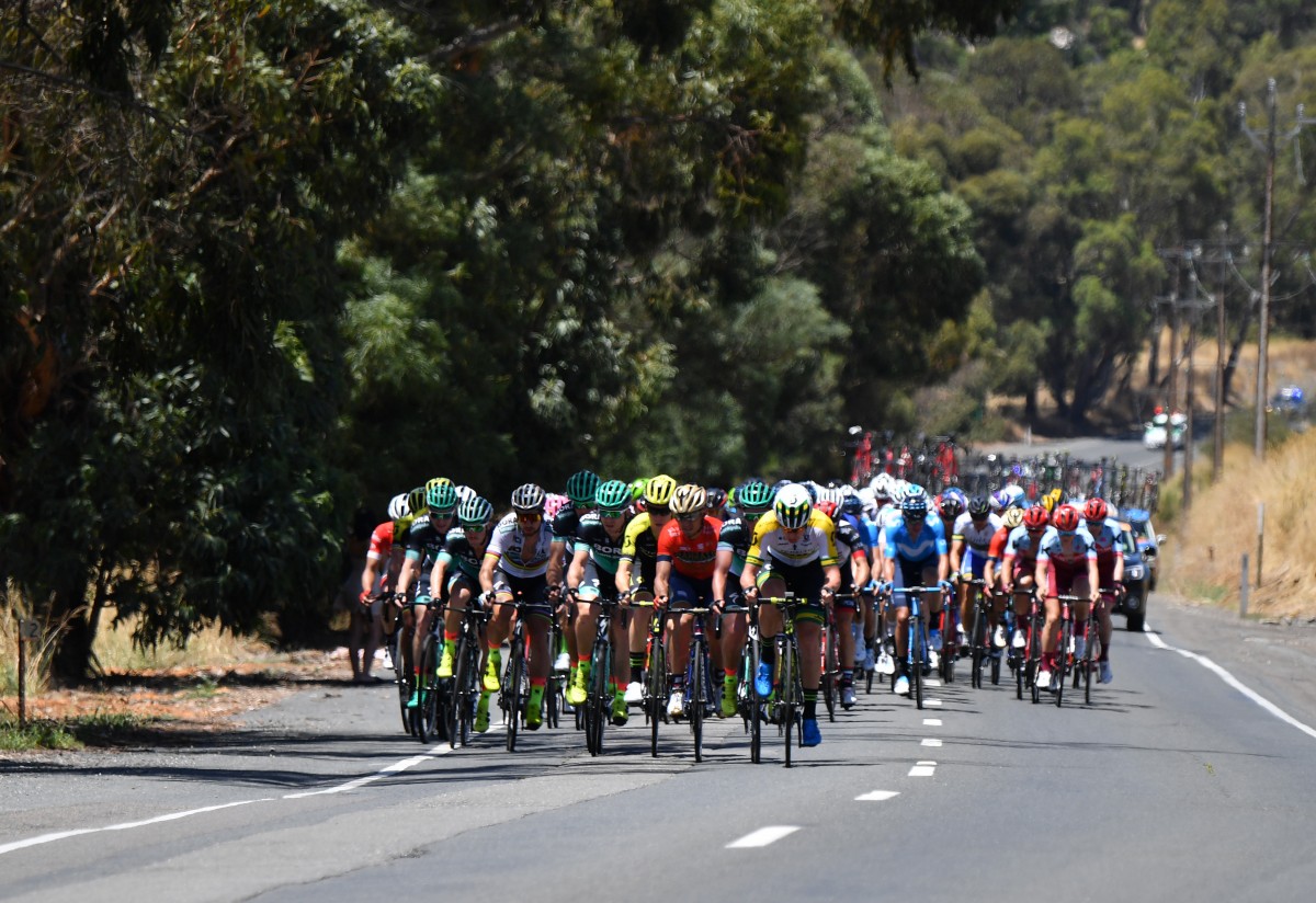 Sieg für Sagan, Didier starker 10.