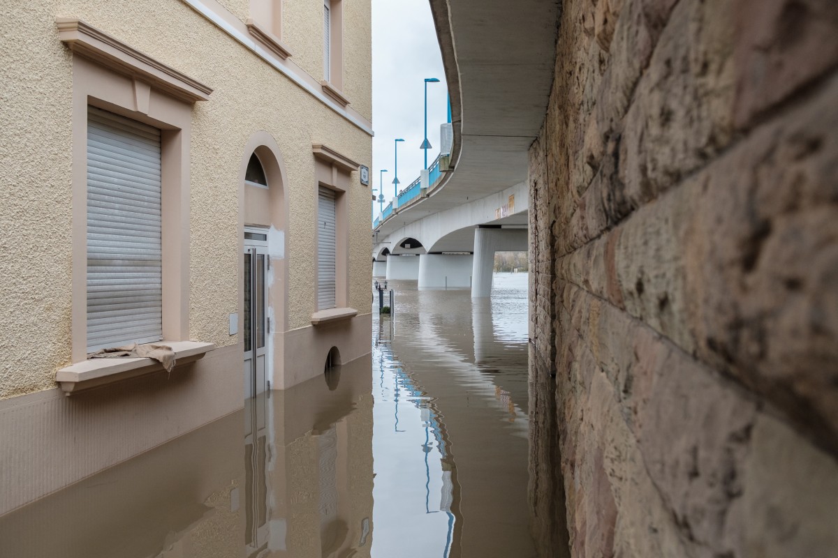 Foto: Patrick Flammang