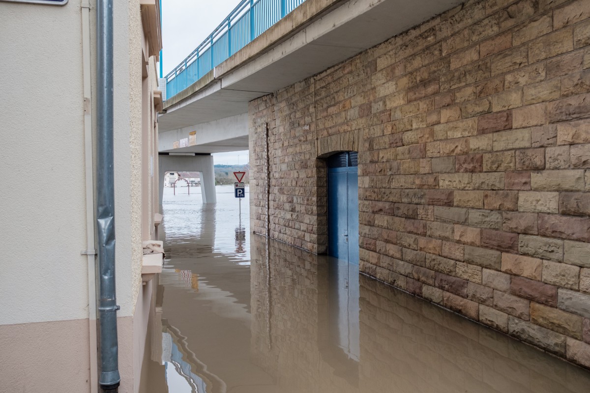 Foto: Patrick Flammang