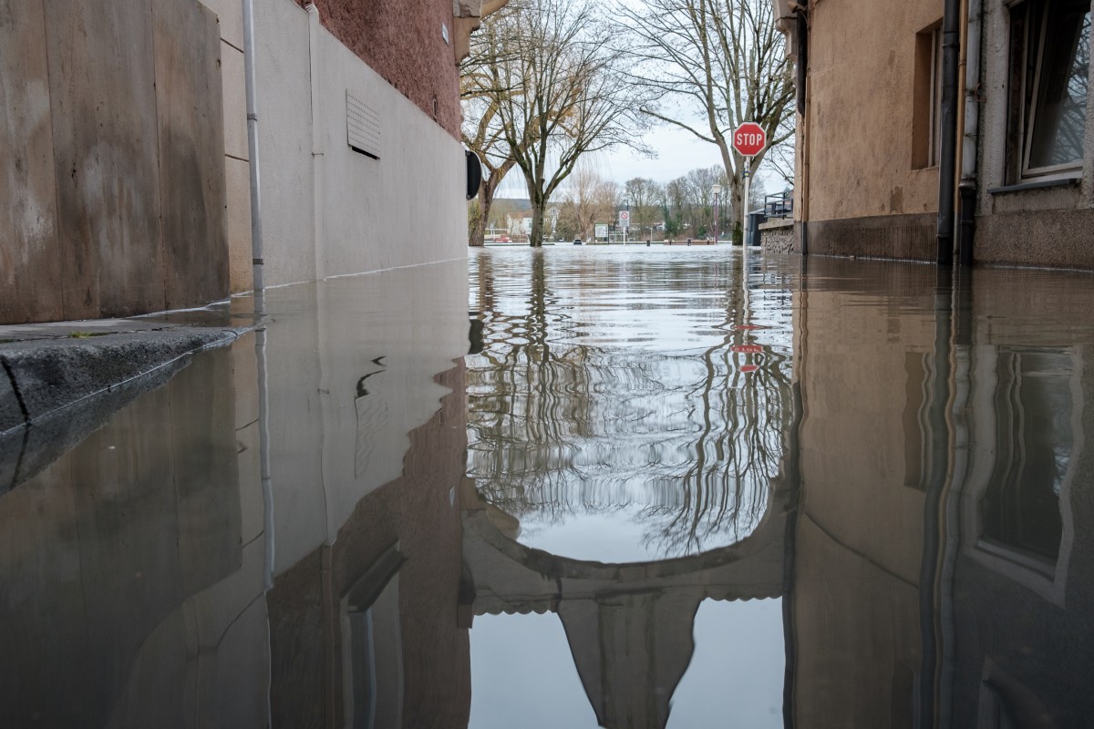 Foto: Patrick Flammang