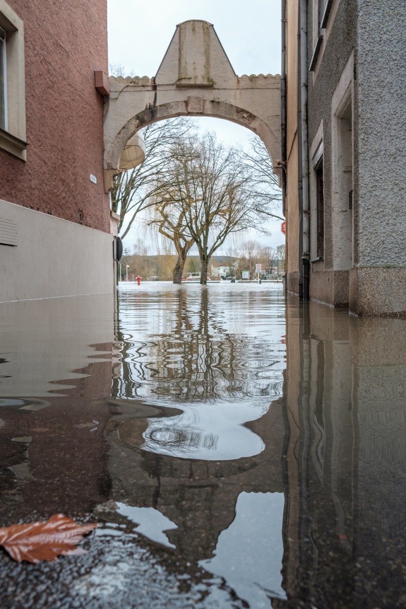 Foto: Patrick Flammang