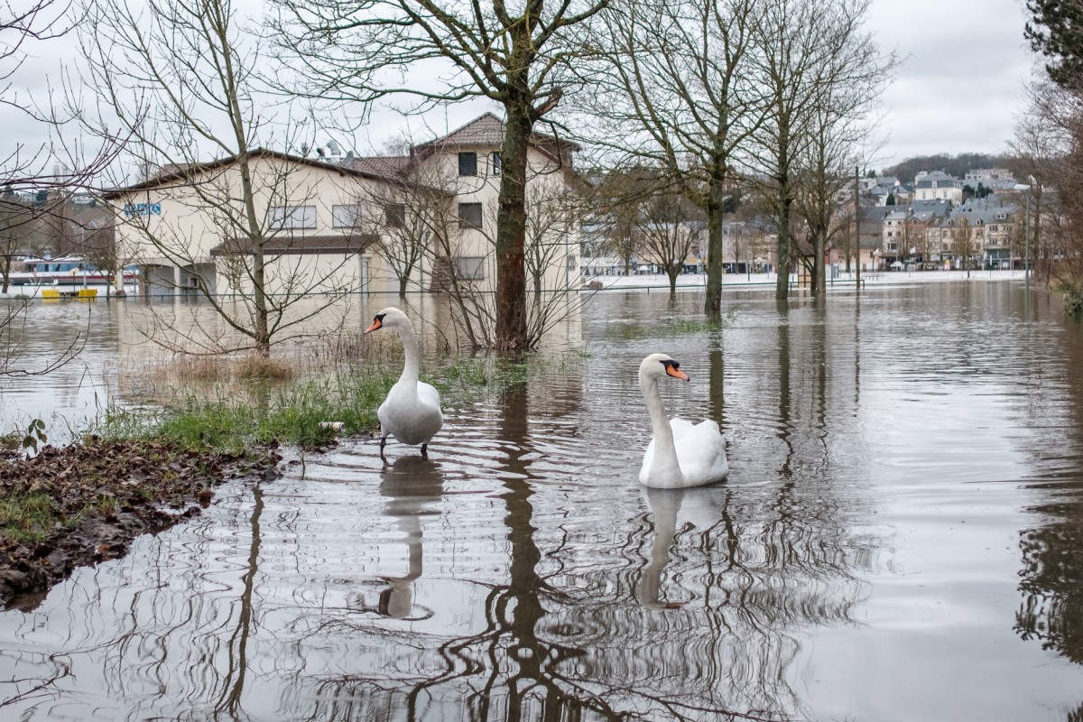 Foto: Patrick Flammang