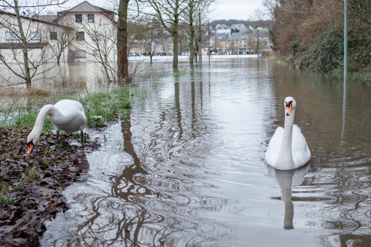 Foto: Patrick Flammang