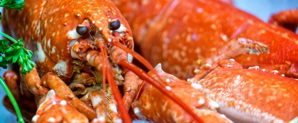 Kein Herz für Hummer in Luxemburg