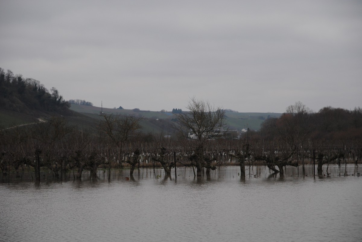 Foto: Editpress/Wiebke Trapp