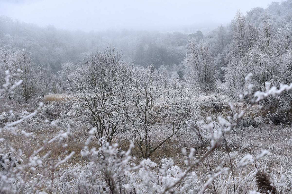 Luxemburger Süden will in Unesco-Programm