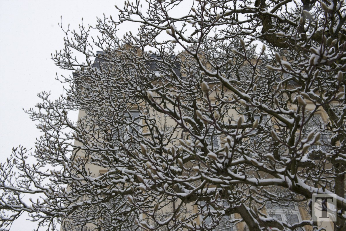 06.02.2018_Editpress_417617