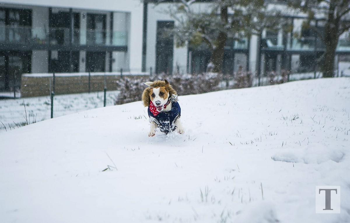 06.02.2018_Editpress_417633