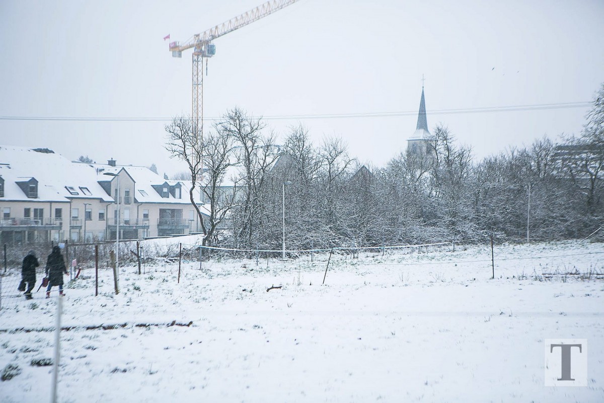 06.02.2018_Editpress_417634