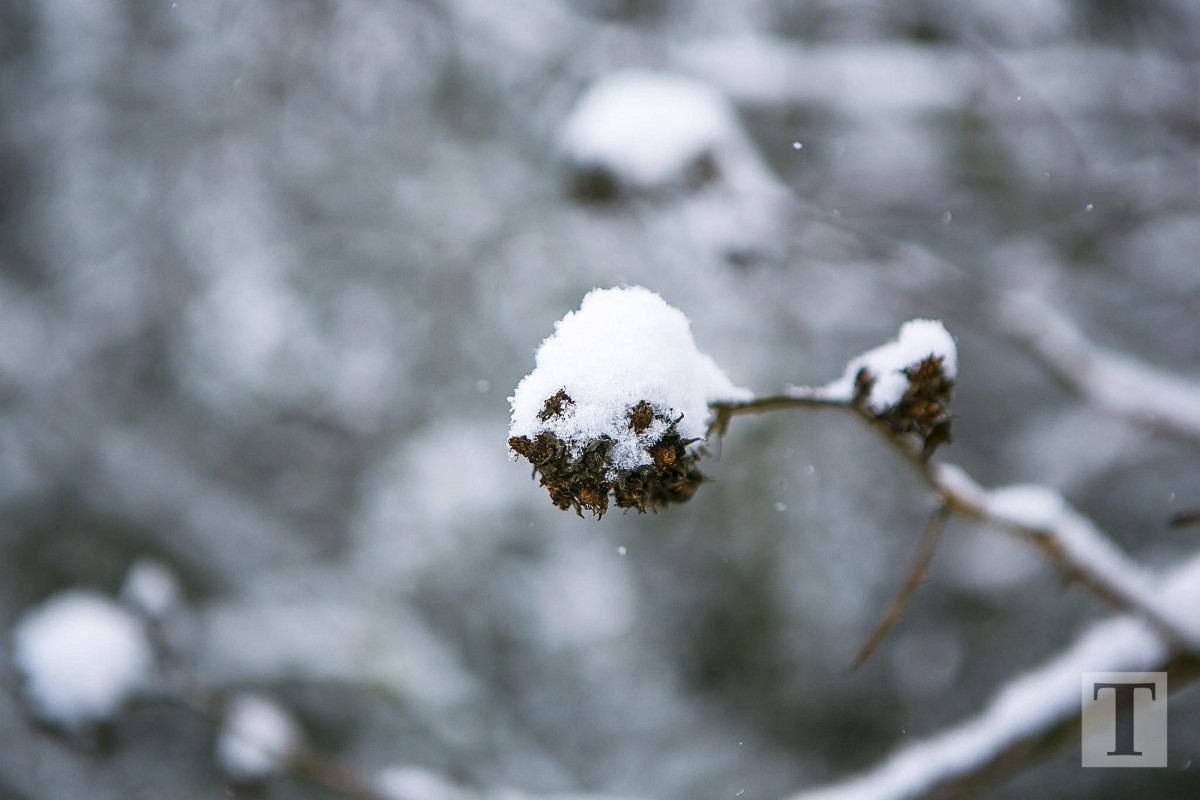 06.02.2018_Editpress_417636