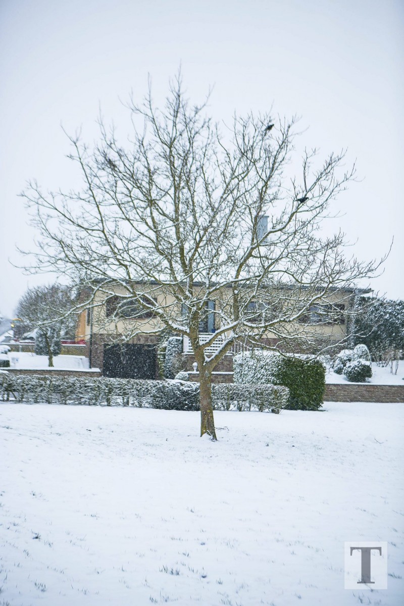 06.02.2018_Editpress_417637