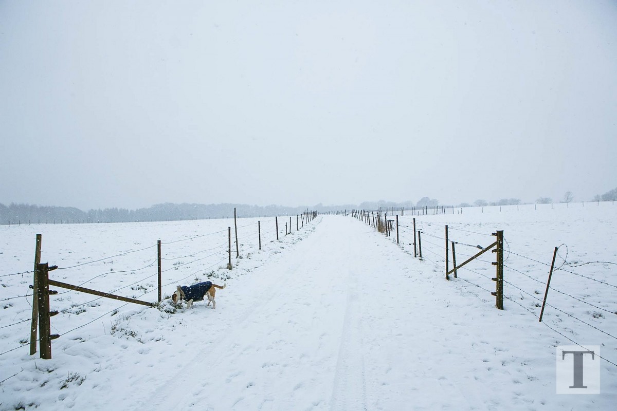 06.02.2018_Editpress_417639