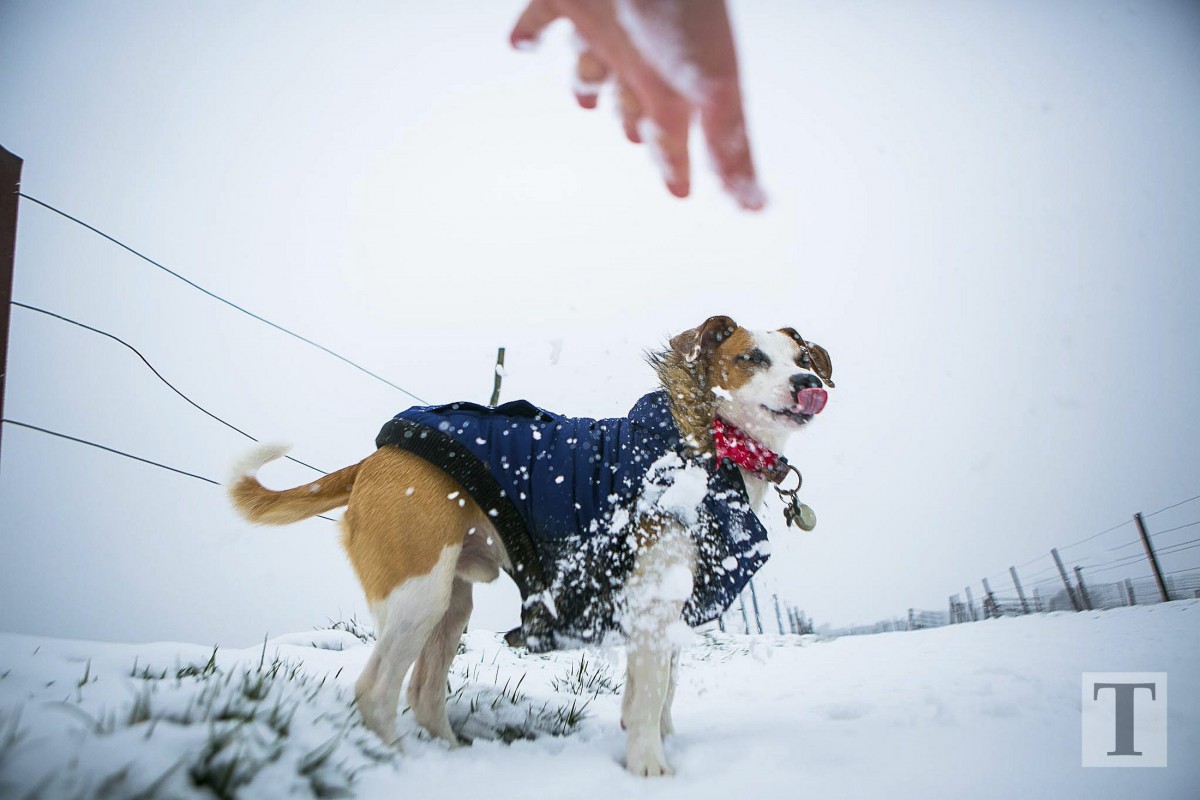 06.02.2018_Editpress_417641