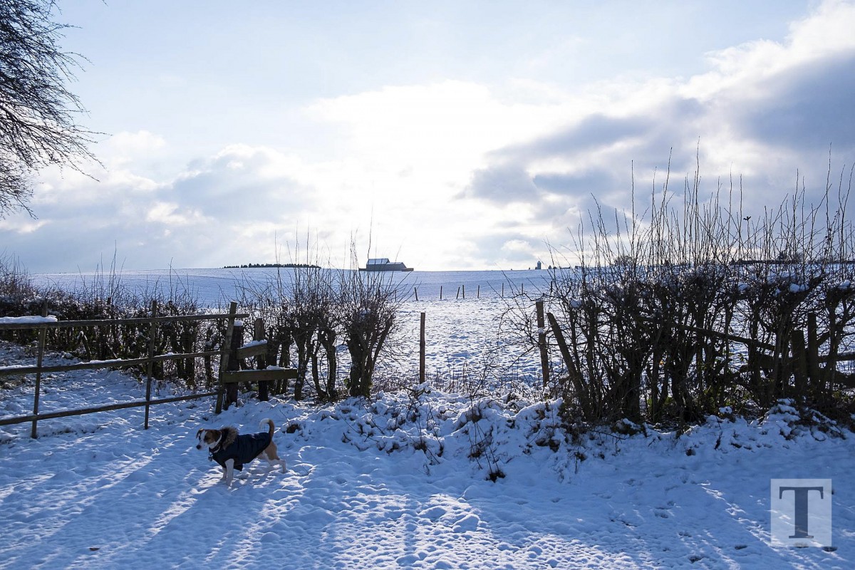 06.02.2018_Editpress_417642