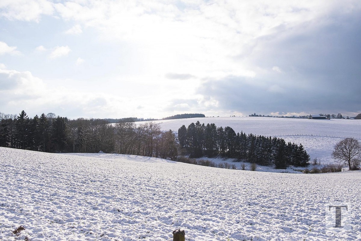 06.02.2018_Editpress_417643